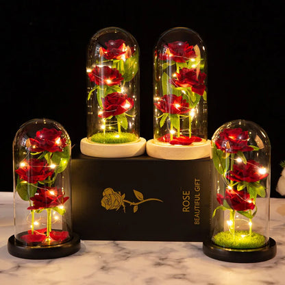 Illuminating Rose Paradise Decor