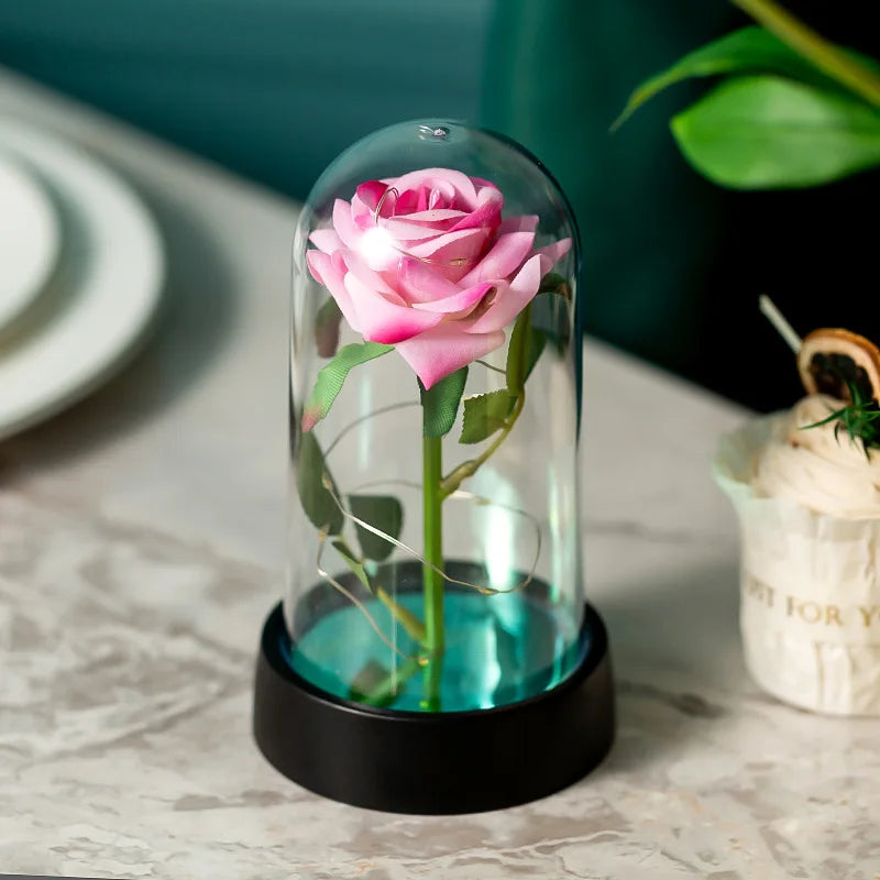 Illuminating Rose Paradise Decor