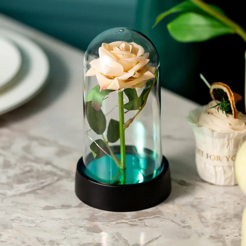 Illuminating Rose Paradise Decor