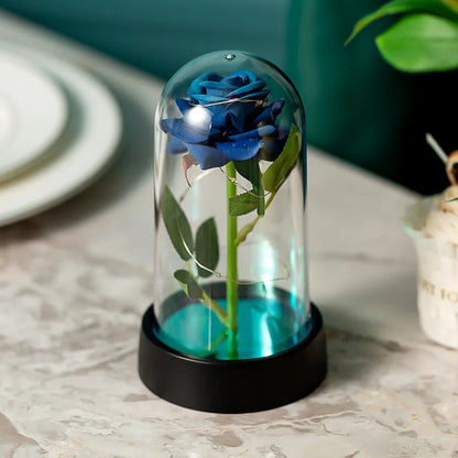 Illuminating Rose Paradise Decor