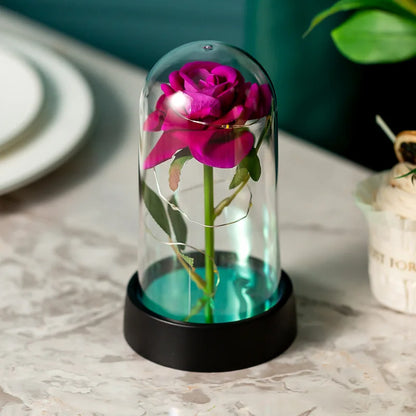 Illuminating Rose Paradise Decor